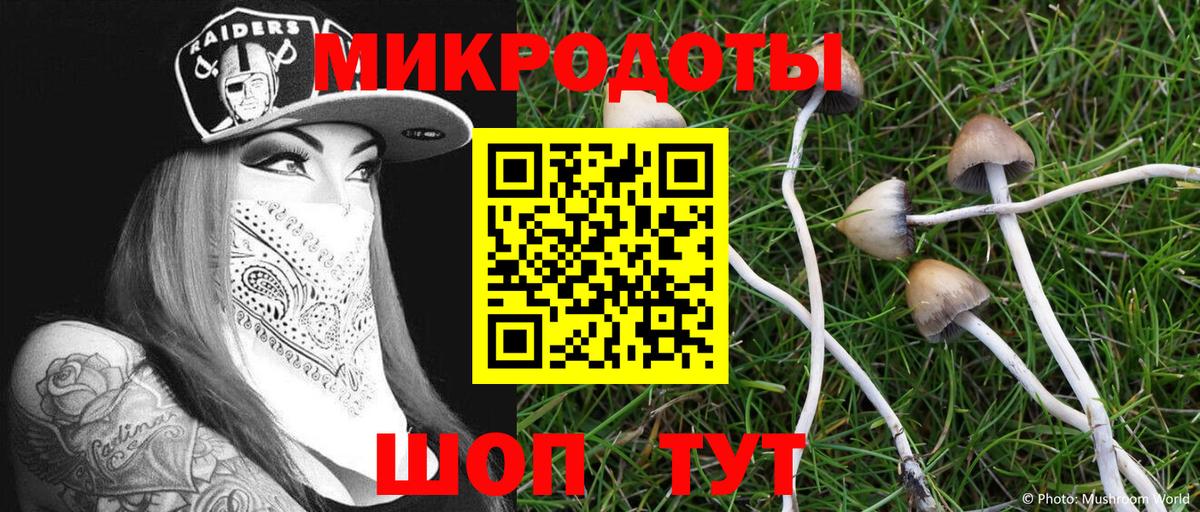 Галлюциногенные грибы Magic Shrooms  Вход с VPN  Зерноград  где можно купить   Галлюциногенные грибы ЛСД 