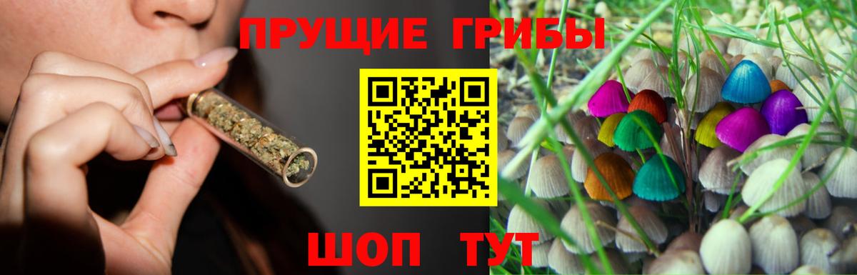 Галлюциногенные грибы прущие грибы Зерноград